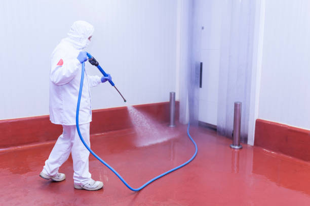 Best Driveway Pressure Washing  in Pearl, MS